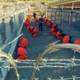 

<a href="http://www.theguardian.com/world/video/2013/oct/11/guantanamo-bay-hunger-strikes-video-animation?CMP=twt_gu"></a>
 
 
 
 
 
 
New animation depicts life inside Guantanamo
A new animation narrated by actors David Morrisey and Peter Capaldi depicting life inside the US prison at Guantanamo Bay was released today. The animation ‘features’ three detainees who have been cleared for release but remain detained – Shaker Aamer, Younous Chekkouri, Samir Mukbel and Ahmed Belbacha.
Produced by Sherbert and the Guardian, the film uses testimony from the men, [...]