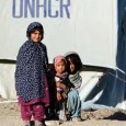 
<a href="http://www.unhcr.at/mandat/questions-und-answers/staatenlose.html">UNHCR: Was heißt staatenlos zu sein?</a>
